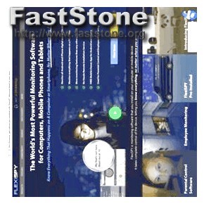 Flexispy Download Gratis